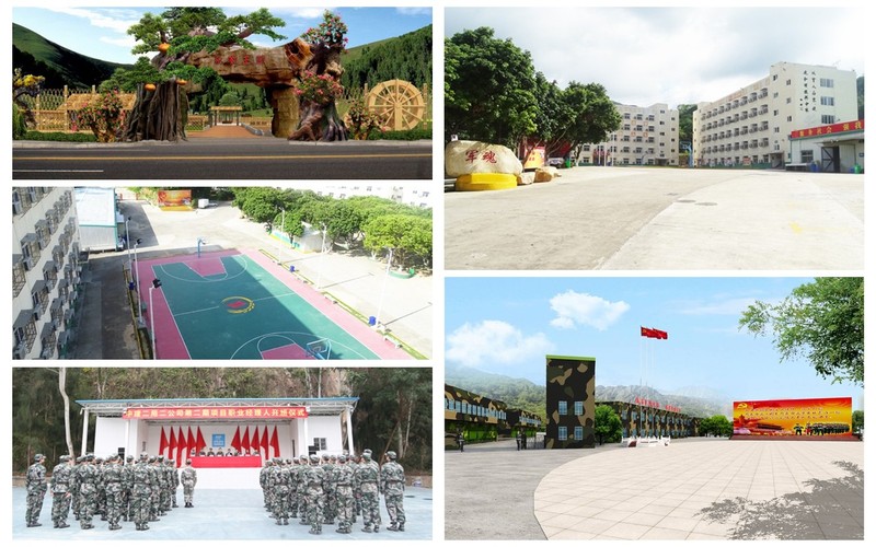 深圳|鹏城穗华素质教育培训基地