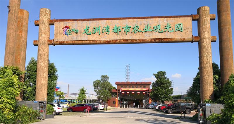 东莞市龙洲湾都市农业观光园成立于2014年9月,位于东莞市道滘镇,毗邻