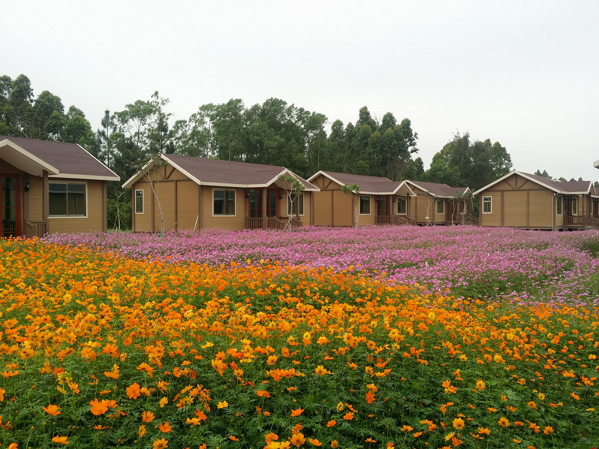 阳江|山海经花海拓展基地